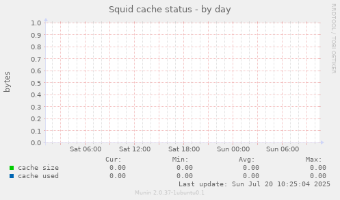 Squid cache status